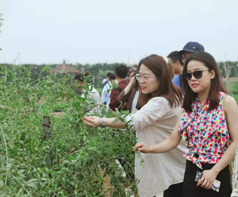 新浪家居“質造行”，共證得高品牌力量，推動品質持續升級 圖片2