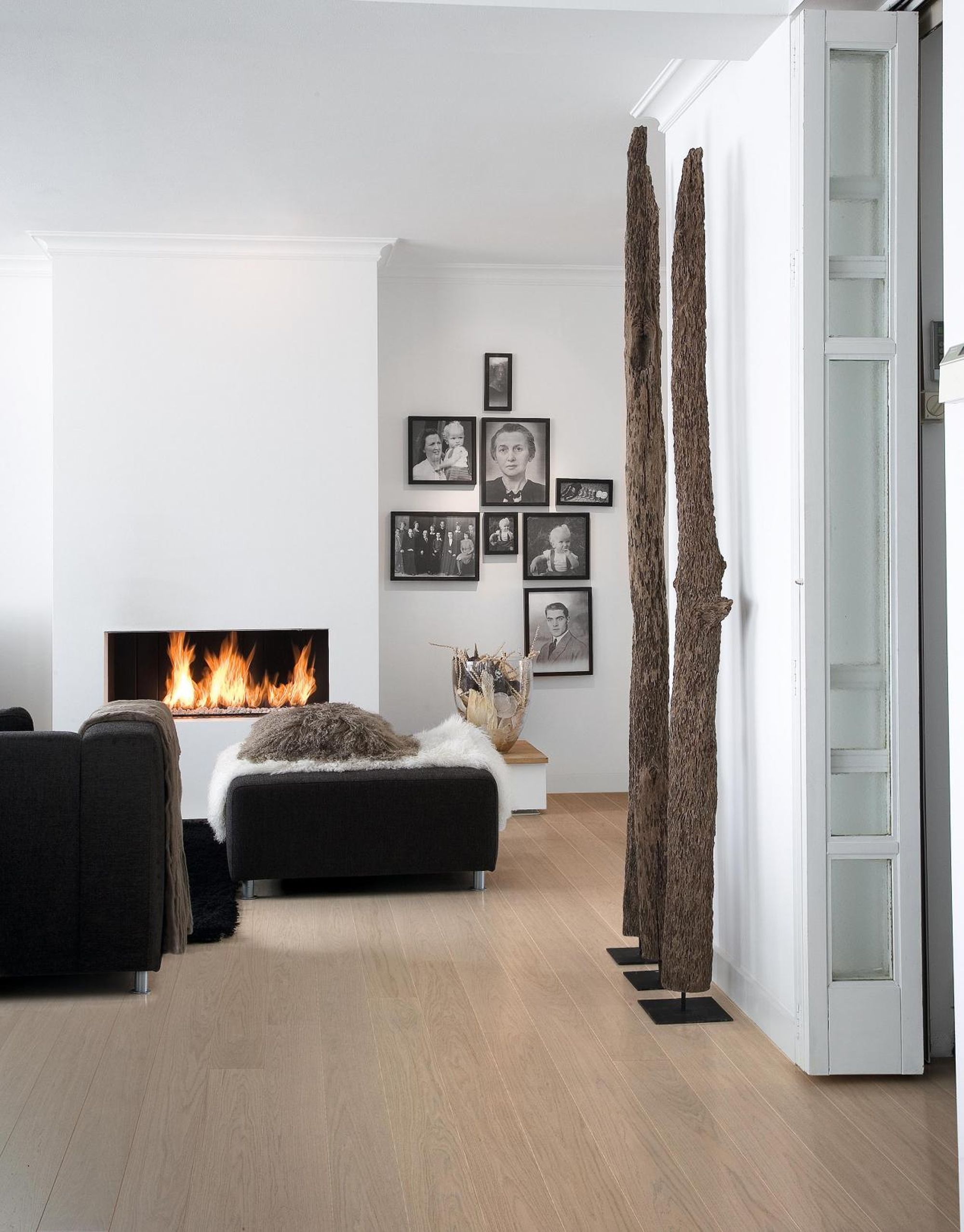 得高天貓年貨節:用好地板,造幸福家 圖片3 得高天貓年貨節:用好地板,造幸福家 圖片3