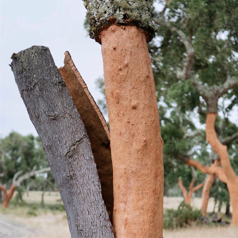 探索健康家居環境,得高地墻一體推動居住升級 image2 探索健康家居環境,得高地墻一體推動居住升級 image2