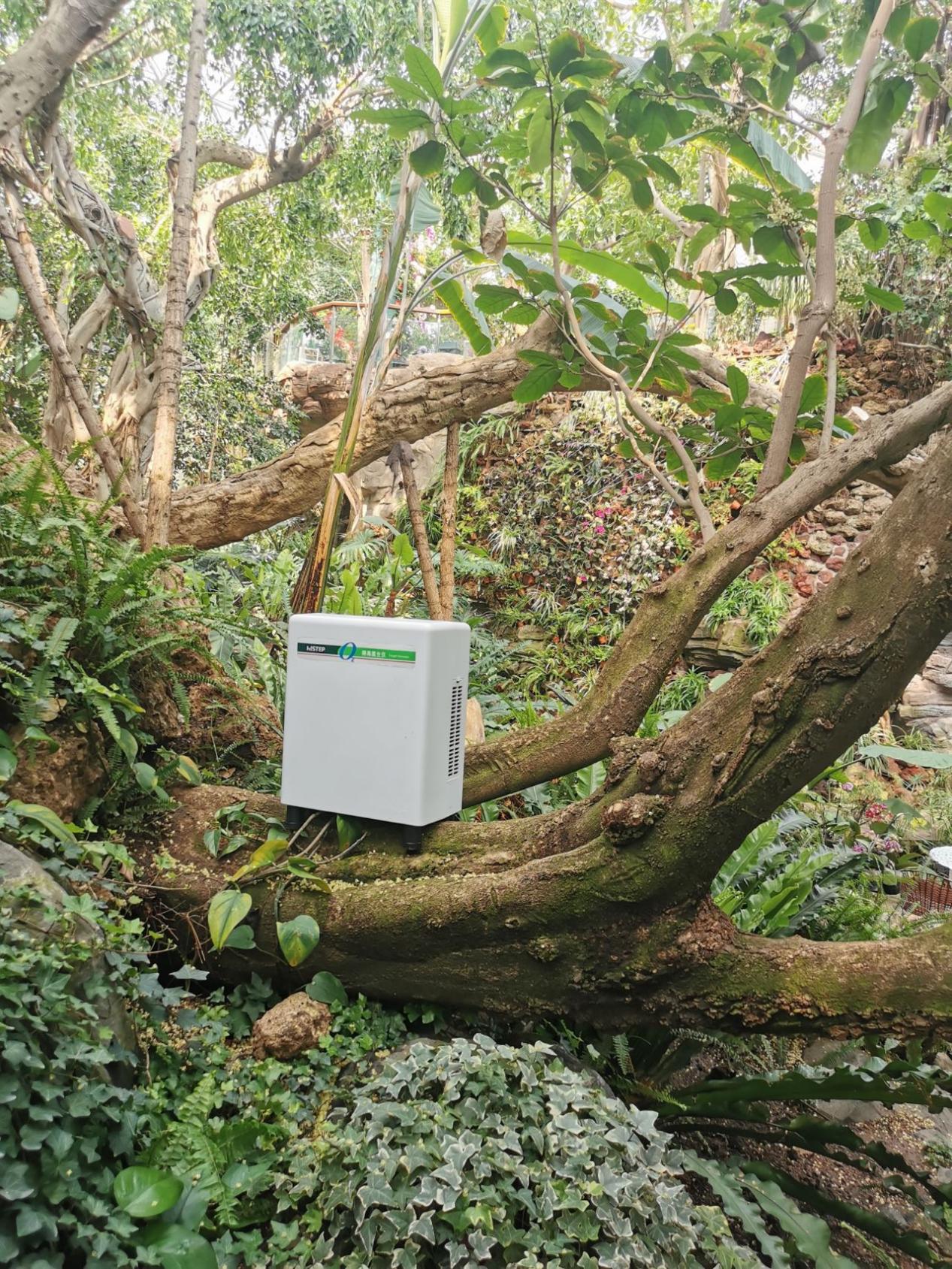 居家也要暢快呼吸，得高教你實現科學補氧！ image3