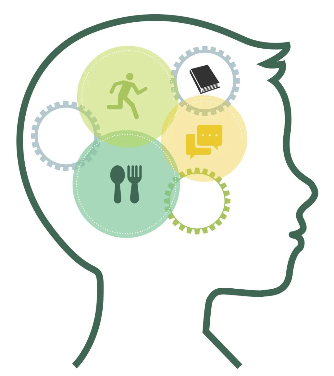 如何養(yǎng)成智慧大腦,讓我們一起探索其中的奧秘 image3 如何養(yǎng)成智慧大腦,讓我們一起探索其中的奧秘 image3