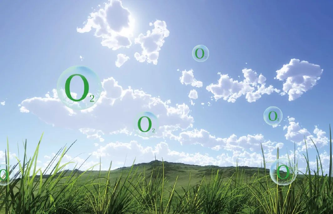 如何養(yǎng)成智慧大腦,讓我們一起探索其中的奧秘 image2 如何養(yǎng)成智慧大腦,讓我們一起探索其中的奧秘 image2