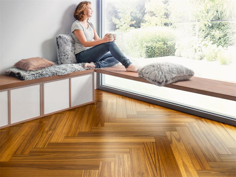 如何不限花期，于家中賞“花”？Come in！ image2