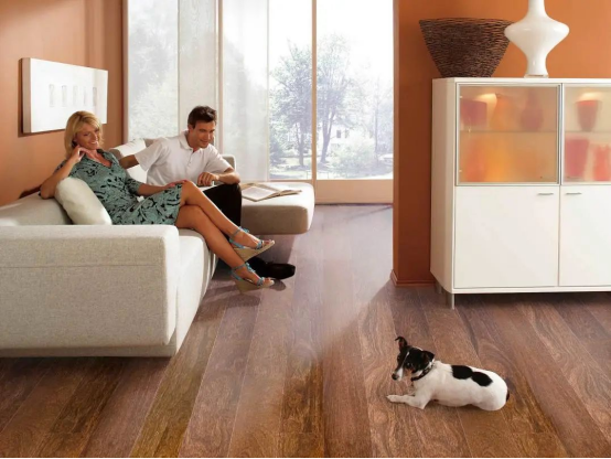 減到寶了!得高新春家裝補貼火熱進行中! image 減到寶了!得高新春家裝補貼火熱進行中! image